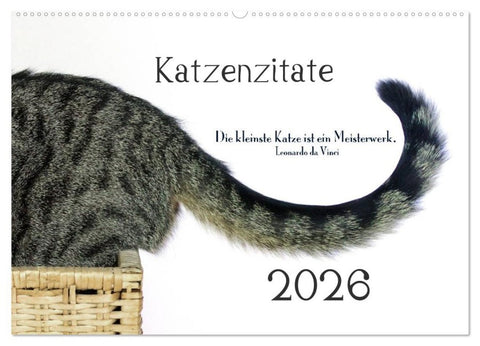 Katzenzitate 2026 (Wandkalender 2026 DIN A2 quer), CALVENDO Monatskalender