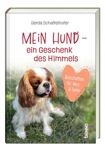 Mein Hund – ein Geschenk des Himmels