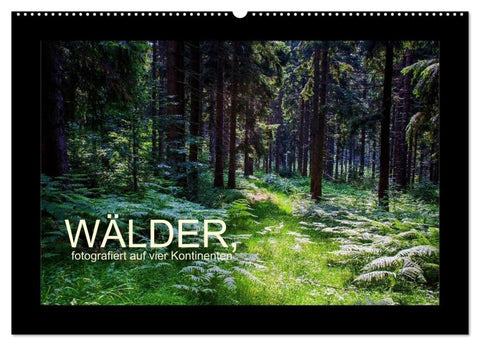 Wälder, fotografiert auf vier Kontinenten (Wandkalender 2027 DIN A2 quer), CALVENDO Monatskalender
