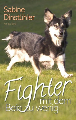 Fighter mit dem Bein zu wenig