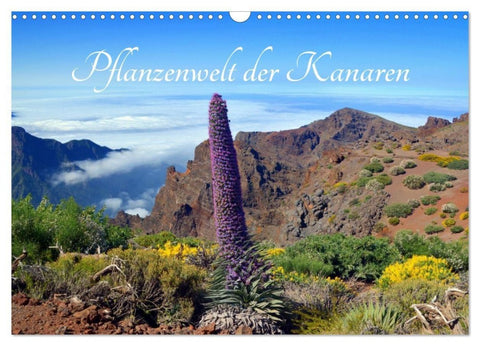 Pflanzenwelt Kanaren (Wandkalender 2027 DIN A3 quer), CALVENDO Monatskalender