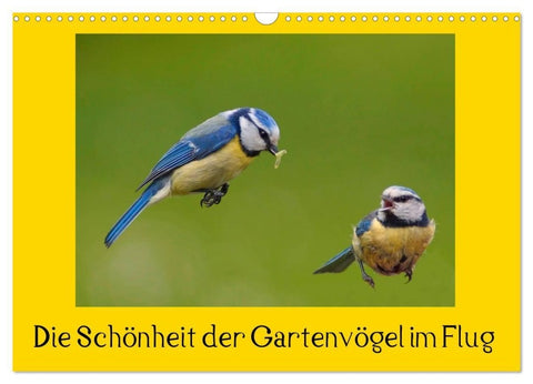 Die Schönheit der Gartenvögel im Flug (Wandkalender 2027 DIN A3 quer), CALVENDO Monatskalender