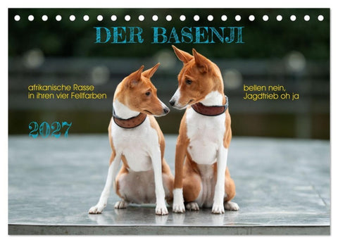 Der Basenji (Tischkalender 2027 DIN A5 quer), CALVENDO Monatskalender