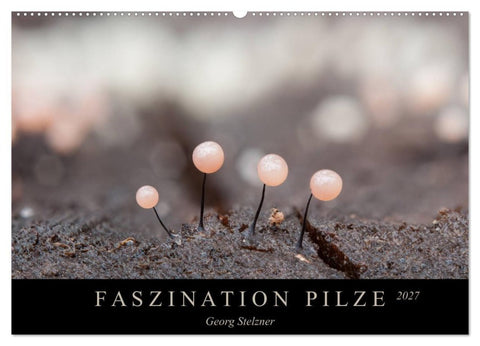 FASZINATION PILZE 2027 (Wandkalender 2027 DIN A2 quer), CALVENDO Monatskalender
