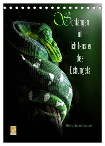 Schlangen im Lichtfenster des Dschungels (Tischkalender 2027 DIN A5 hoch), CALVENDO Monatskalender