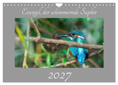 Eisvogel, der schimmernde Saphir (Wandkalender 2027 DIN A4 quer), CALVENDO Monatskalender