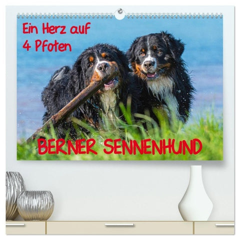 Ein Herz auf 4 Pfoten - Berner Sennenhund (hochwertiger Premium Wandkalender 2027 DIN A2 quer), Kunstdruck in Hochglanz