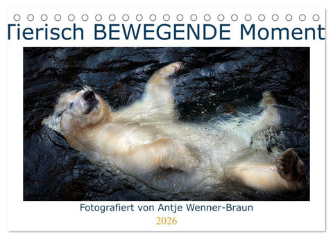 Tierisch BEWEGENDE Momente (Tischkalender 2026 DIN A5 quer), CALVENDO Monatskalender