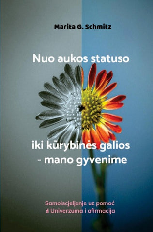 Nuo aukos statuso iki k¿rybin¿s galios - mano gyvenime