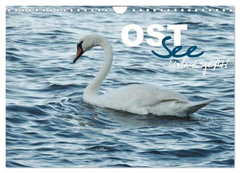 Ostsee - Urlaubsgefühl (Wandkalender 2027 DIN A4 quer), CALVENDO Monatskalender