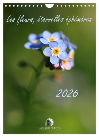 Les fleurs, éternelles éphemères (Calendrier mural 2027 DIN A4 horizontal), CALVENDO calendrier mensuel