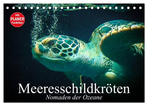 Meeresschildkröten. Nomaden der Ozeane (Tischkalender 2026 DIN A5 quer), CALVENDO Monatskalender