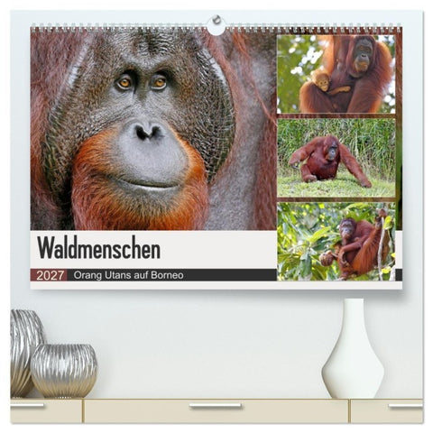 Waldmenschen - Orang Utans auf Borneo (hochwertiger Premium Wandkalender 2027 DIN A2 quer), Kunstdruck in Hochglanz