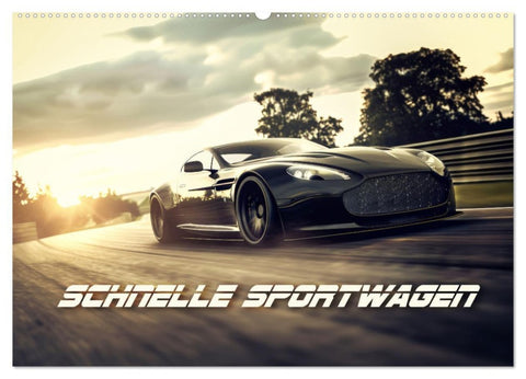 Schnelle Sportwagen (Wandkalender 2026 DIN A2 quer), CALVENDO Monatskalender