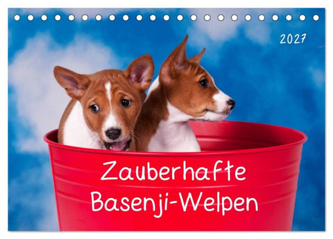Zauberhafte Basenji-Welpen (Tischkalender 2027 DIN A5 quer), CALVENDO Monatskalender