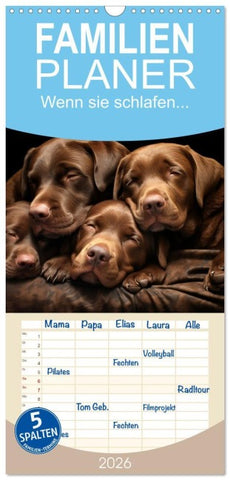 Familienplaner 2026 - Wenn sie schlafen... mit 5 Spalten (Wandkalender, 21 x 45 cm) CALVENDO