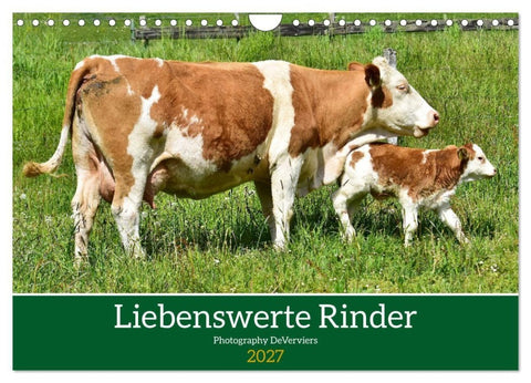 Liebenswerte Rinder (Wandkalender 2027 DIN A4 quer), CALVENDO Monatskalender