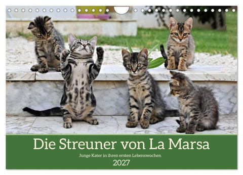 Die Streuner von La Marsa (Wandkalender 2027 DIN A4 quer), CALVENDO Monatskalender