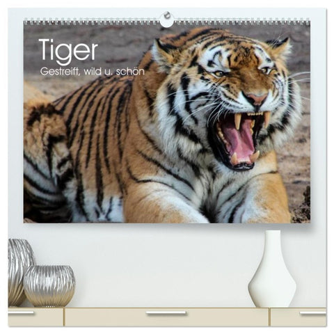 Tiger. Gestreift, wild u. schön (hochwertiger Premium Wandkalender 2026 DIN A2 quer), Kunstdruck in Hochglanz