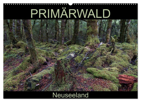 Primärwald - Neuseeland (Wandkalender 2026 DIN A2 quer), CALVENDO Monatskalender