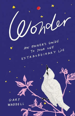 Wonder