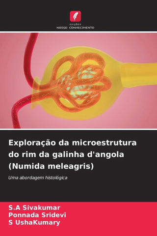 Exploração da microestrutura do rim da galinha d'angola (Numida meleagris)