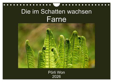 Die im Schatten wachsen - Farne (Wandkalender 2026 DIN A4 quer), CALVENDO Monatskalender
