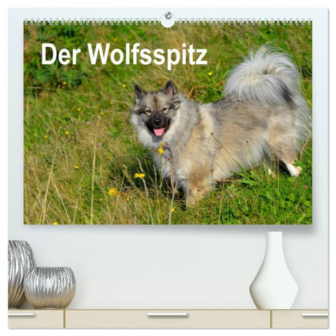 Der Wolfsspitz (hochwertiger Premium Wandkalender 2026 DIN A2 quer), Kunstdruck in Hochglanz