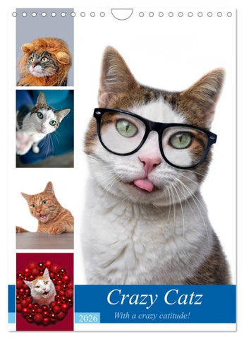 Crazy Catz. (Wandkalender 2026 DIN A4 hoch), CALVENDO Monatskalender