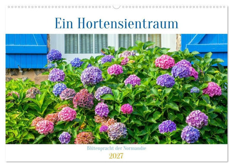 Ein Hortensientraum (Wandkalender 2027 DIN A2 quer), CALVENDO Monatskalender