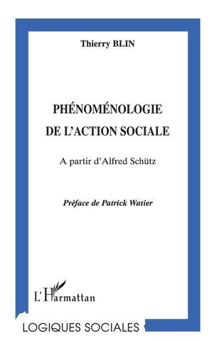 Phénoménologie de l'action sociale