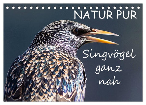 NATUR PUR - Singvögel ganz nah (Tischkalender 2027 DIN A5 quer), CALVENDO Monatskalender