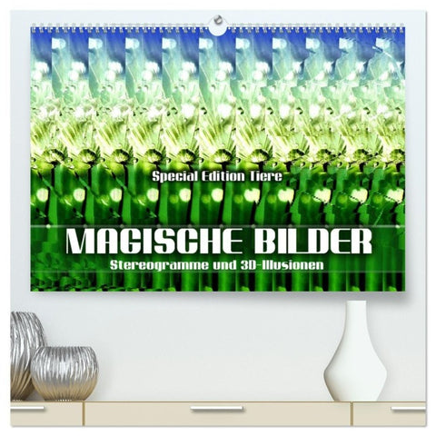 Magische Bilder - Stereogramme und 3D-Illusionen (hochwertiger Premium Wandkalender 2027 DIN A2 quer), Kunstdruck in Hochglanz
