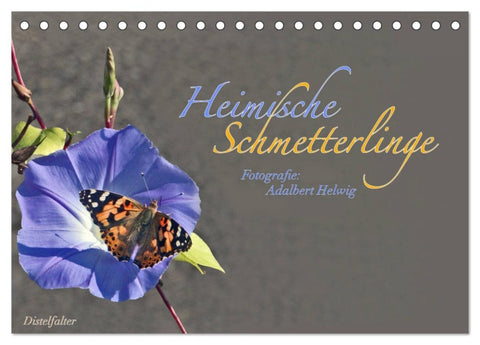 Heimische Schmetterlinge (Tischkalender 2026 DIN A5 quer), CALVENDO Monatskalender