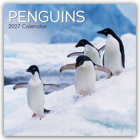 Penguins – Pinguine 2027 – 16-Monatskalender