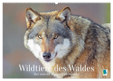 Wildtiere des Waldes: Hier wird der Mythos Wald lebendig (Wandkalender 2027 DIN A2 quer), CALVENDO Monatskalender