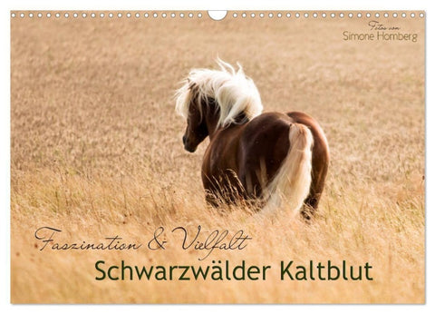 Faszination und Vielfalt - Schwarzwälder Kaltblut (Wandkalender 2027 DIN A3 quer), CALVENDO Monatskalender