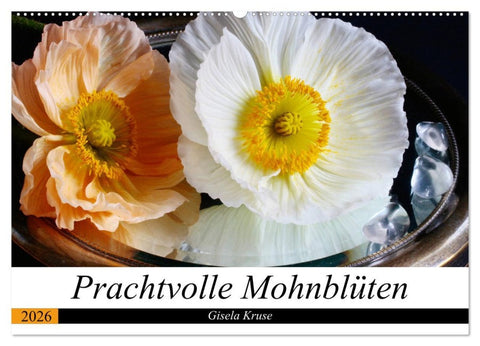 Prachtvolle Mohnblüten (Wandkalender 2026 DIN A2 quer), CALVENDO Monatskalender