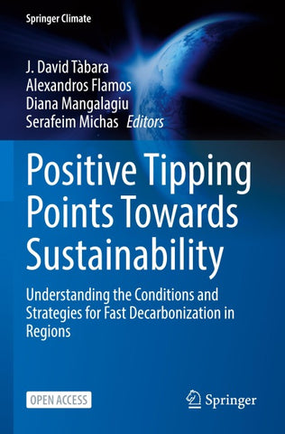 Positive Tipping Points Towards Sustainability