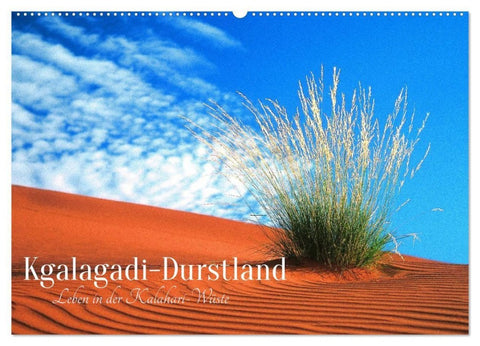Kgalagadi-Durstland (Wandkalender 2027 DIN A2 quer), CALVENDO Monatskalender