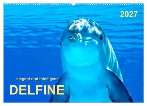 Delfine - elegant und intelligent (Wandkalender 2027 DIN A2 quer), CALVENDO Monatskalender