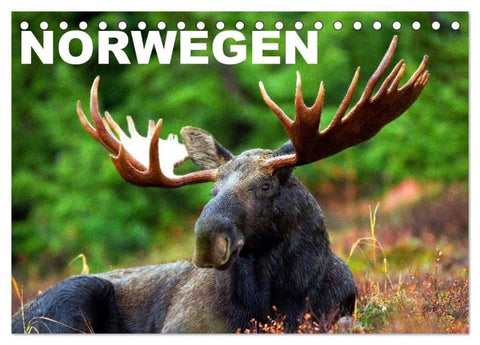 Norwegen (Tischkalender 2027 DIN A5 quer), CALVENDO Monatskalender