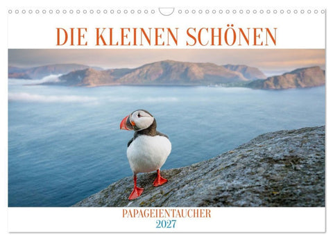 Die kleinen schönen (Wandkalender 2027 DIN A3 quer), CALVENDO Monatskalender