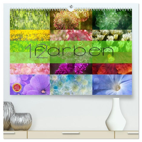 12 Farben (hochwertiger Premium Wandkalender 2026 DIN A2 quer), Kunstdruck in Hochglanz