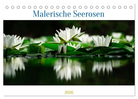 Malerische Seerosen (Tischkalender 2026 DIN A5 quer), CALVENDO Monatskalender