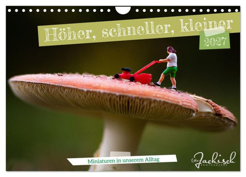 Höher, schneller, kleiner - Miniaturen in unserem Alltag (Wandkalender 2027 DIN A4 quer), CALVENDO Monatskalender