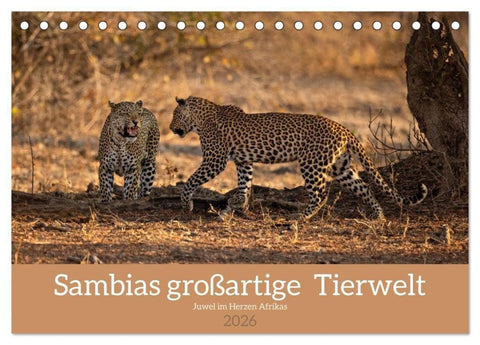 Sambias großartige Tierwelt (Tischkalender 2026 DIN A5 quer), CALVENDO Monatskalender