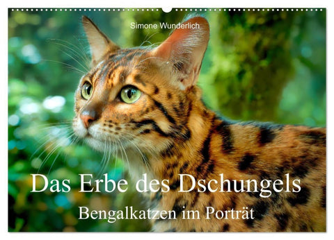 Das Erbe des Dschungels - Bengalkatzen im Porträt (Wandkalender 2027 DIN A2 quer), CALVENDO Monatskalender