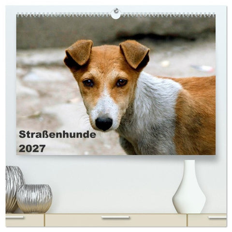 Straßenhunde (hochwertiger Premium Wandkalender 2027 DIN A2 quer), Kunstdruck in Hochglanz