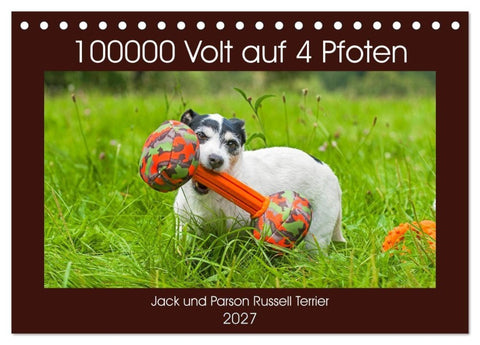 100000 Volt auf vier Pfoten - Jack und Parson Russell Terrier (Tischkalender 2027 DIN A5 quer), CALVENDO Monatskalender